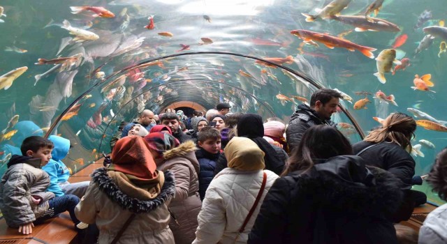 Yıldırımda tünel akvaryumu 10 günde 40 bin kişi ziyaret etti