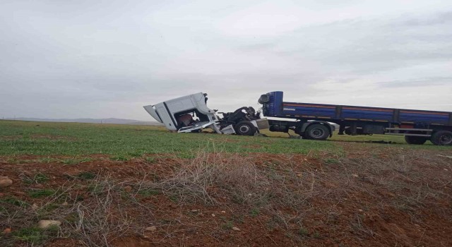Yoldan çıkan tır buğday tarlasına girdi