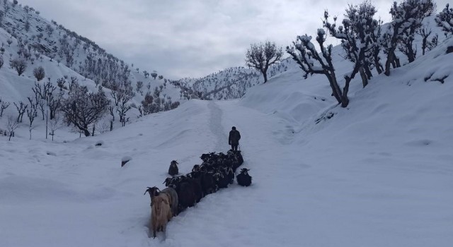 Yüksek kesimlerde kar kalınlığı 1 metreye yaklaştı: 95 yerleşim yerine ulaşım sağlanamıyor