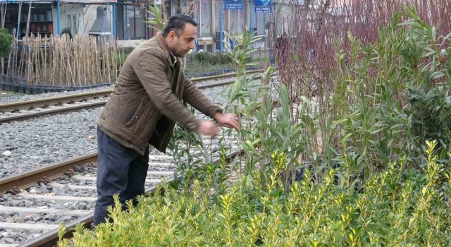 Ziraat Mühendisi Tekeş: Fidan ve meyve ağaçları dikimi için en uygun dönemdeyiz