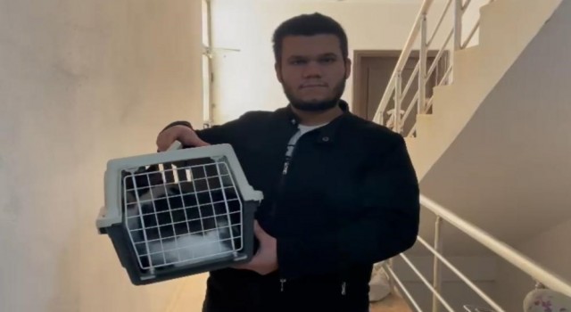 10 bin TL ödülle aradığı kedisini, rüyasına girdiği yerde buldu