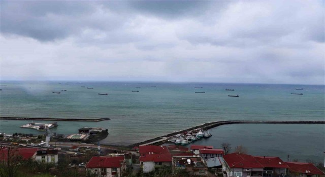 50ye yakın gemi Samsun açıklarında sıra bekliyor