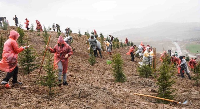 6 Şubat 2023 Deprem Şehitleri Hatıra Ormanında 435 fidan toprakla buluştu