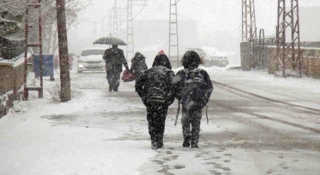 Ahlatta kar yağışı etkili oluyor