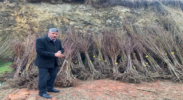 Akdağmadeninde maliyetine meyve fidanı satışı başladı