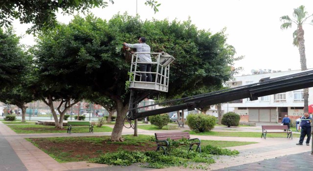 Akdenizde park, bahçe ve yeşil alanlar yenileniyor
