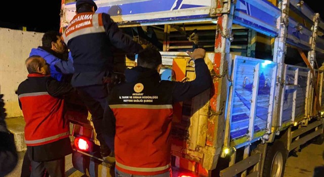 Aksaray jandarması şap denetiminde