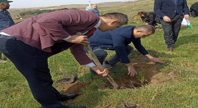 Alaşehirde 200 fidan toprakla buluştu