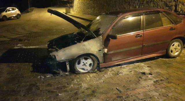 Alev alan park halindeki otomobil kullanılmaz hale geldi