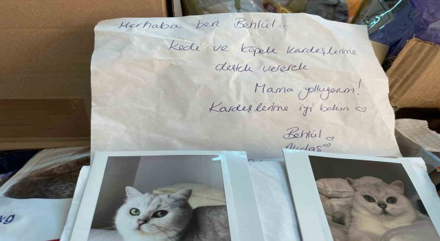 Almanyada yaşayan gurbetçi, depremzede sokak hayvanlarını unutmadı