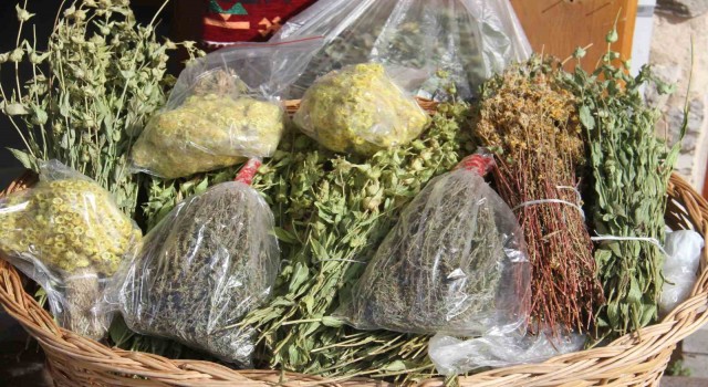 Anamas Dağından toplanan bitkiler rağbet görüyor