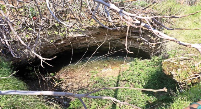 Antalyanın göbeğinde 35 metre derinlikteki obrukta çok sayıda tatlı su canlısı tespit edildi