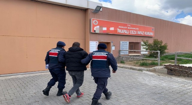 Aranan hükümlü ve şahıslar jandarmaya takıldı