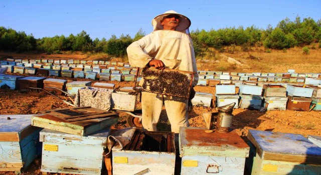 Arıcılara ‘Erken bahar uyarısı