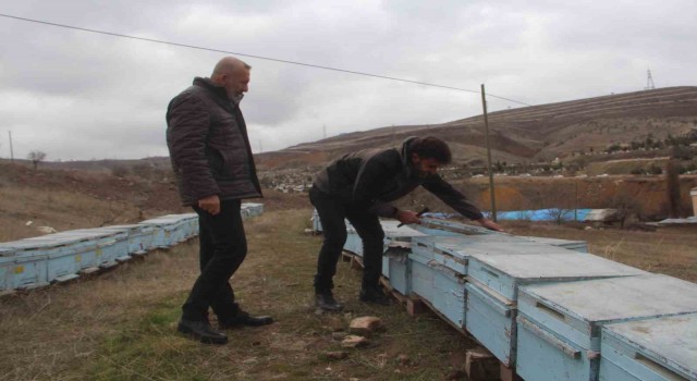 Arıcıların tek umudu bahar aylarının yağışlı geçmesi