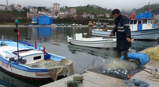 Arslan: Doğu Karadeniz her bir yıl balık avı açısından verimsizleşiyor