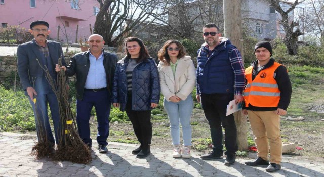 Atakumda çiftçiye 1000 incir fidanı desteği