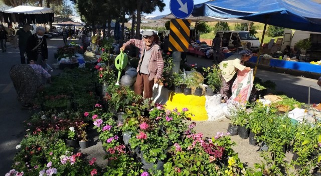 Aydında pazar tezgahları çiçeklerle renklendi