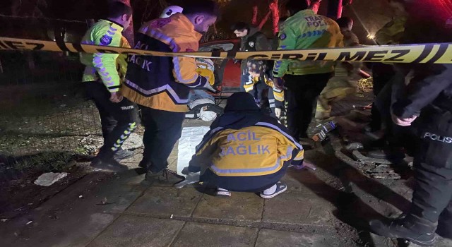 Bakırköyde 17 yaşındaki sürücü önce refüje ardından ağaca çarptı: 1 ölü, 5 yaralı