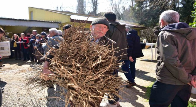 Balıkesir Büyükşehirden çiftçiye hünnap ve mürdüm eriği desteği