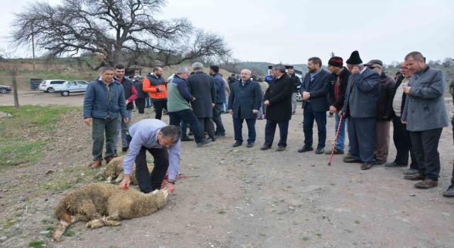 Balıkesirde barajlar dolsun diye adak kesildi