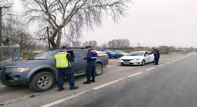 Balıkesirde jandarmadan tarihi eser ve silah operasyonu