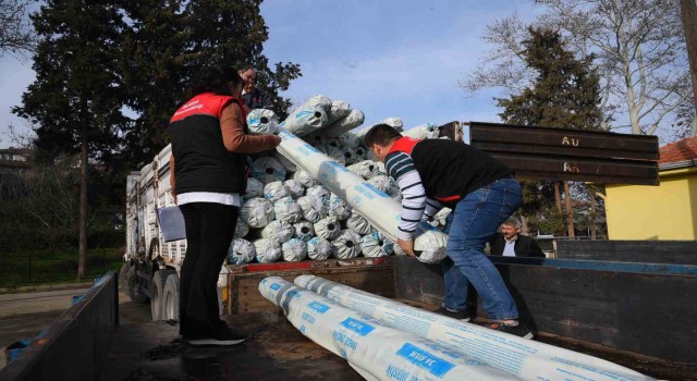 Balıkesirde seracılara yenileme desteği