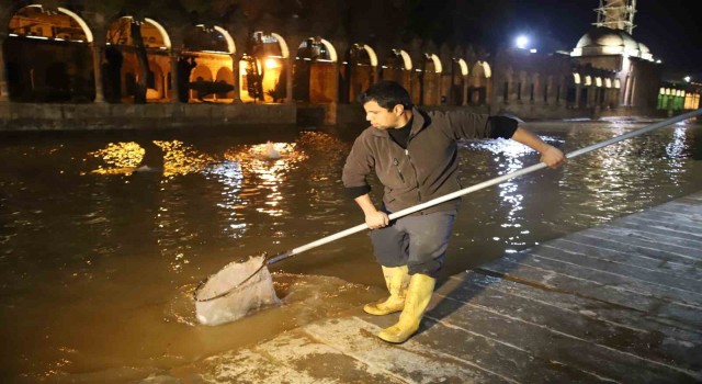 Balıklıgöl suyu normale dönüyor