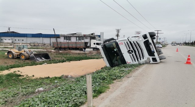 Bandırmada buğday yüklü tır devrildi