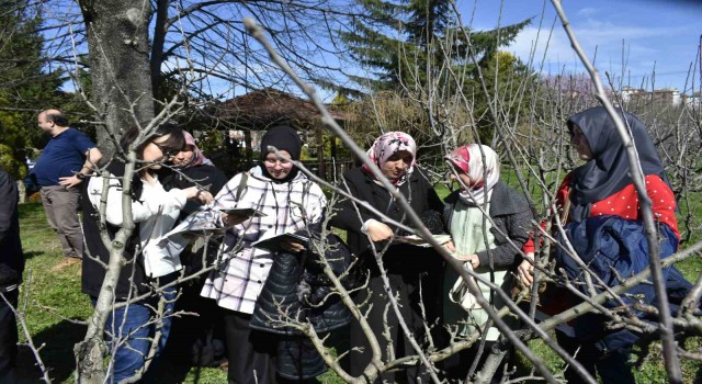 Bartında çiftçilere budama eğitimi, doğru verim alma yöntemleri anlatıldı