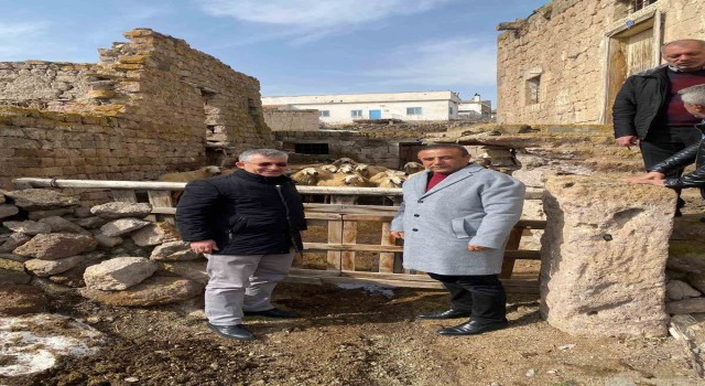 Başkan Büyükkılıçın ‘Meraları Şenlendiren Projesi, besiciye umut oldu