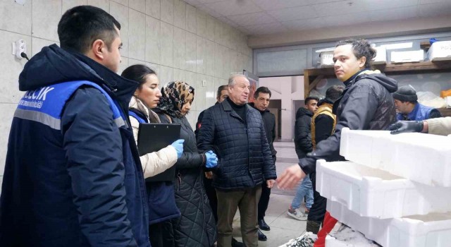 Başkan Yardımcısı Fındıktan balık denetimi