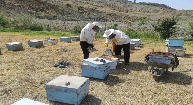 Batmanda arıcıların kovan bakımı ve arı ilaçlama mesaisi başladı