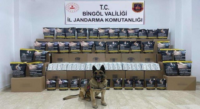 Bingölde 76 kilo kaçak tütün ele geçirildi: 1 gözaltı