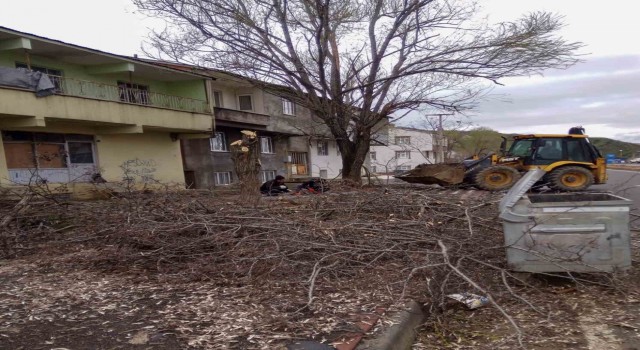 Bingölde fırtına nedeniyle devrilen ağaçlar, belediye ekiplerince kaldırılıyor