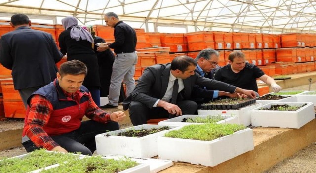 Bingölde yüzde 75 hibe ile 750 bin adet fide dağıtılacak