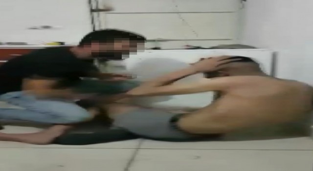 Bodrum katta işkenceye uğramıştı, kendisini kaçıran şahıstan şikayetçi olmadı