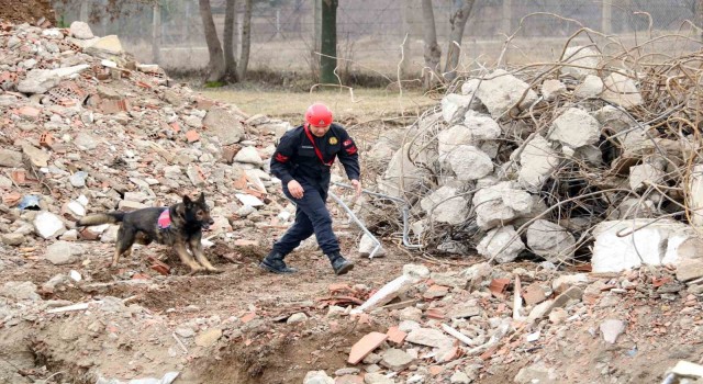 Bozkurttaki sel felaketinde görev alan “Garip”, deprem bölgesinde de enkaz altındaki vatandaşların kurtarılmasını sağladı
