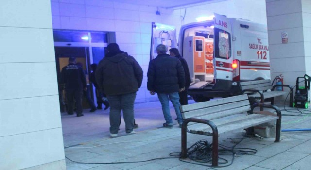 Budamak için çıktığı ağaçtan düşten vatandaş yaralandı
