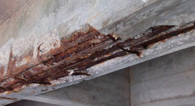 Büyük ekonomik kayıplara yol açıyor