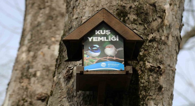 Büyükşehirin kuş yemlikleri yürekleri ısıttı