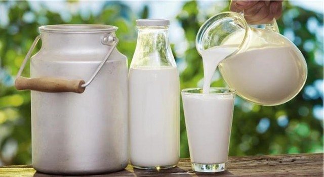 Çiğ süt desteği ödemelerine yönelik esaslar belli oldu