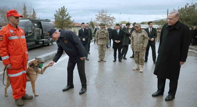 Cumhurbaşkanı Erdoğan: "Çeşitli projelerle milletimizin huzuruna çıkacağız"