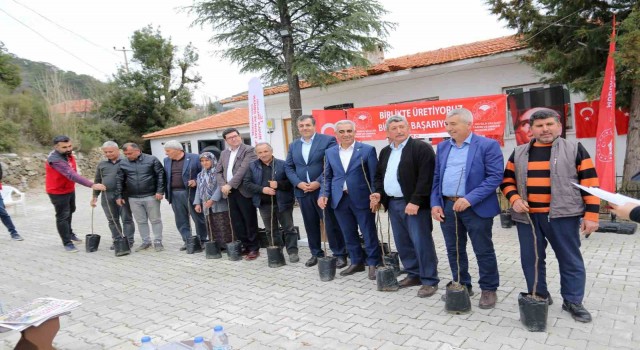 Dalamanın 11 kırsal mahallesinde ‘Kaya İnciri fidanları toprakla buluştu