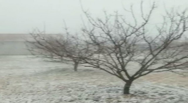 Deprem bölgesi Malatyada yüksek kesimler beyaza büründü