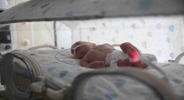 Deprem bölgesinden Mersine getirilen bebekler, DNA eşleşmesi ile ailelerine teslim ediliyor
