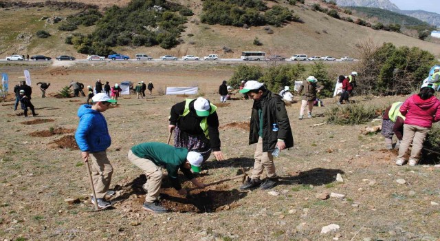 Deprem şehitleri için Eğirdirde 500 adet ardıç fidanı dikildi