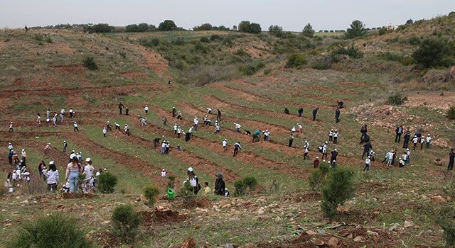 Deprem şehitleri için fidanlar Osmaniye'de toprakla buluştu