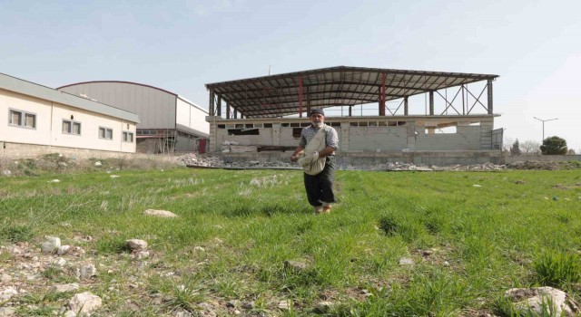 Deprem sonrası tarlasında üretime başladı