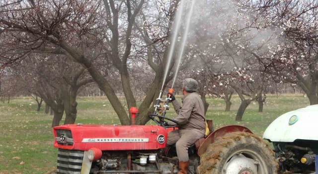 Depremin vurduğu Malatyada kayısı üreticileri yeni sezona hazırlanıyor